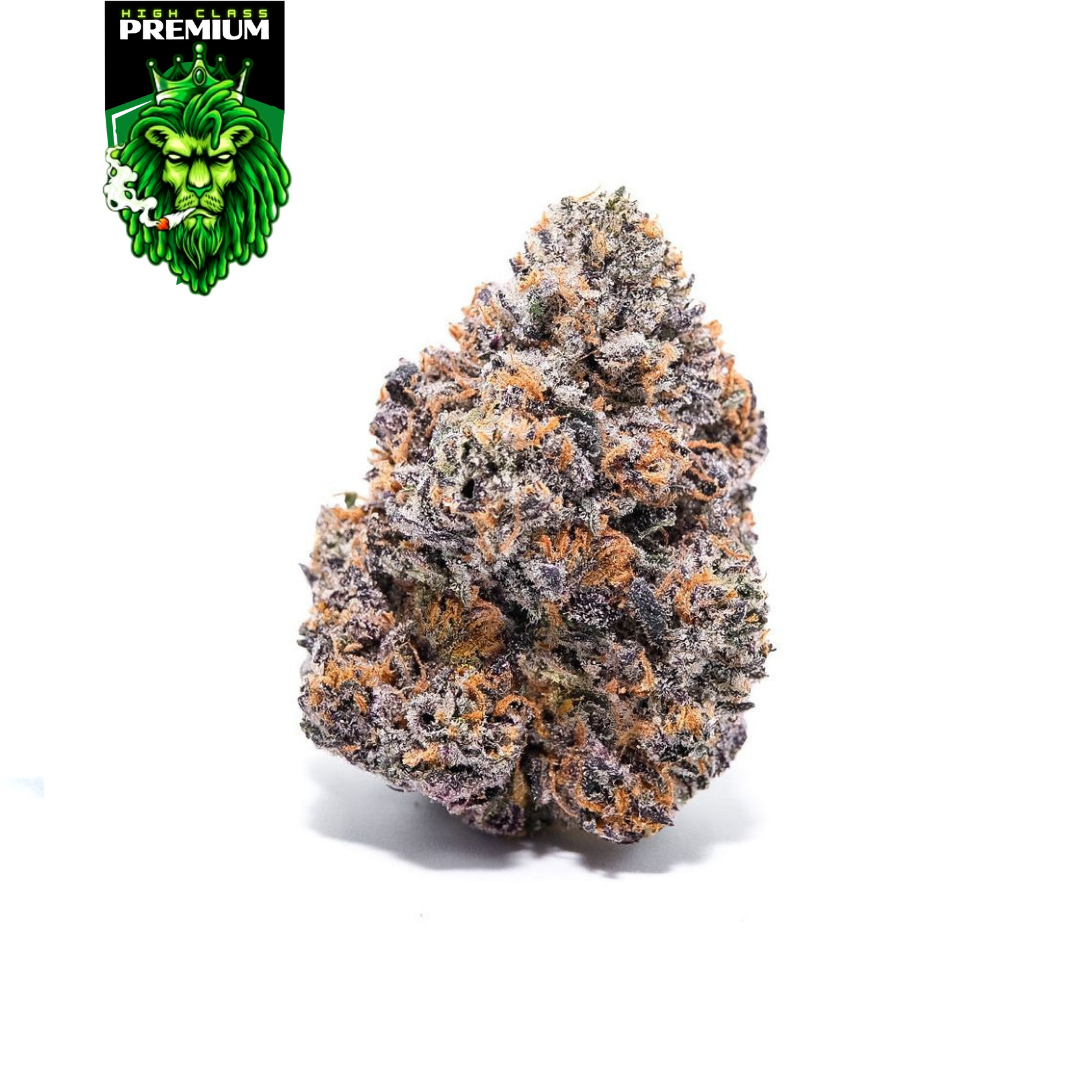 Guava x Biscotti